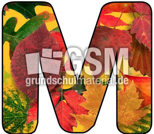 Herbstbuchstabe-5-M.jpg